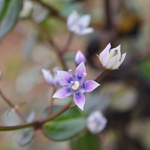 Photo #10866306