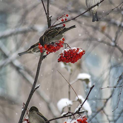 Photo #10866346
