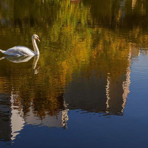 Photo #10866348