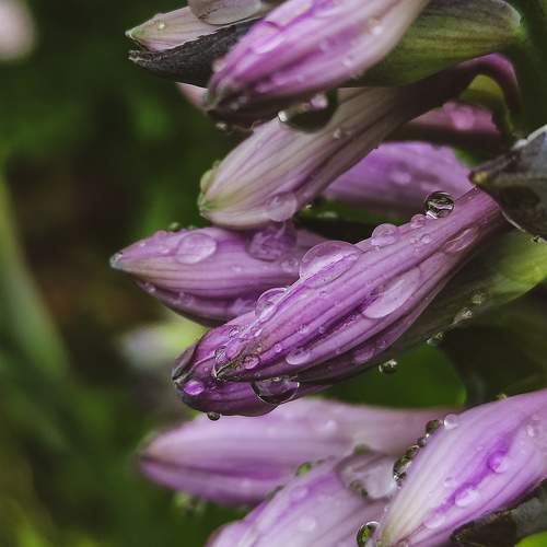 Photo #10866735