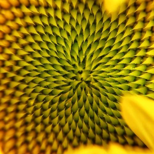 Photo #10866966