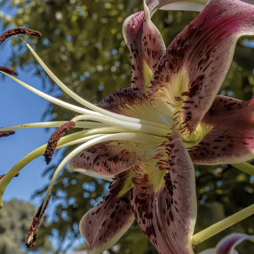 Photo #10866997