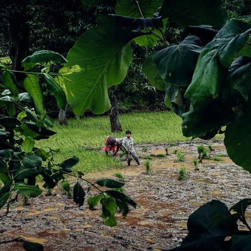 Photo #10867015