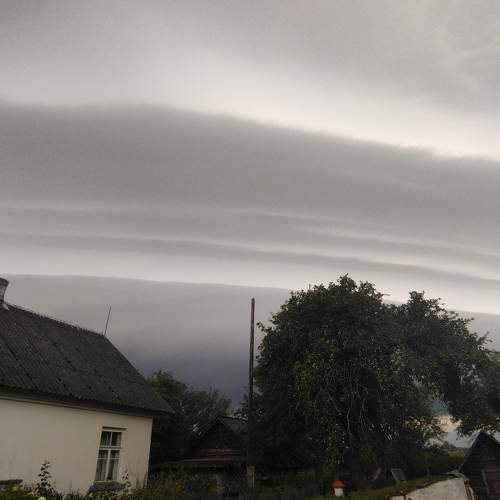 Photo #10867043