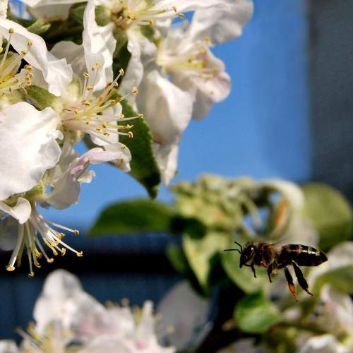 Photo #10867055