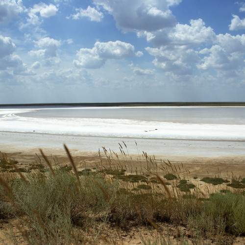 Photo #10867344