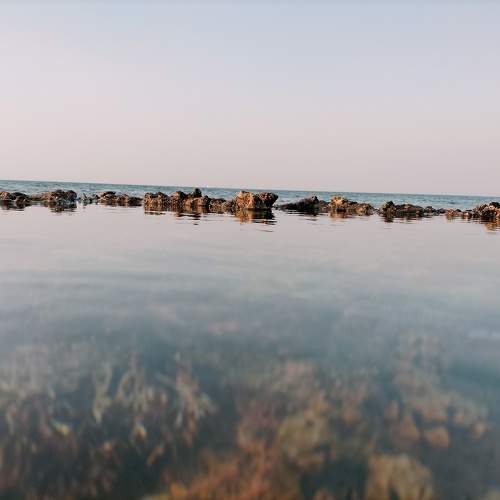 Photo #10867439