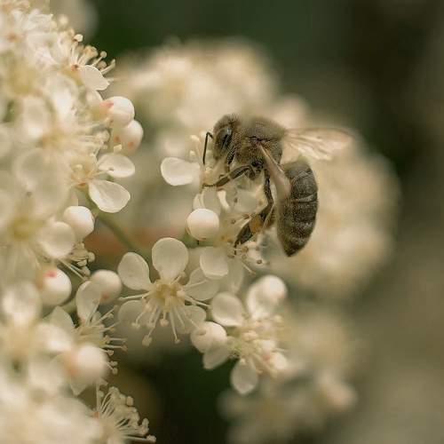 Photo #10867459