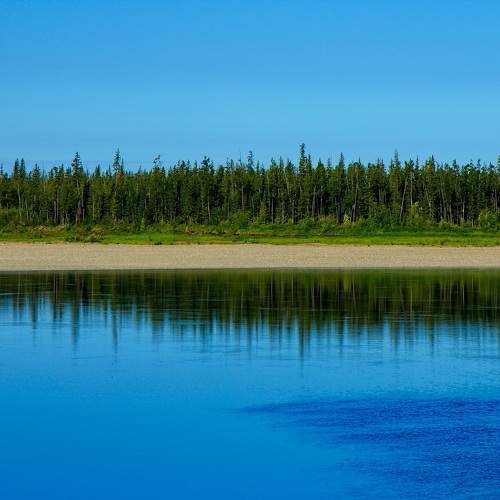 Photo #10867615