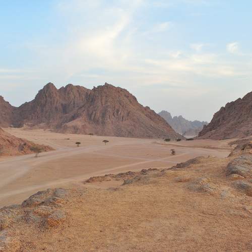 Photo #10867964