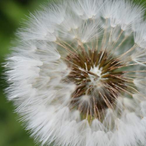 Photo #10868024