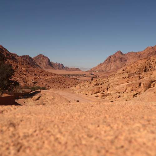 Photo #10868079