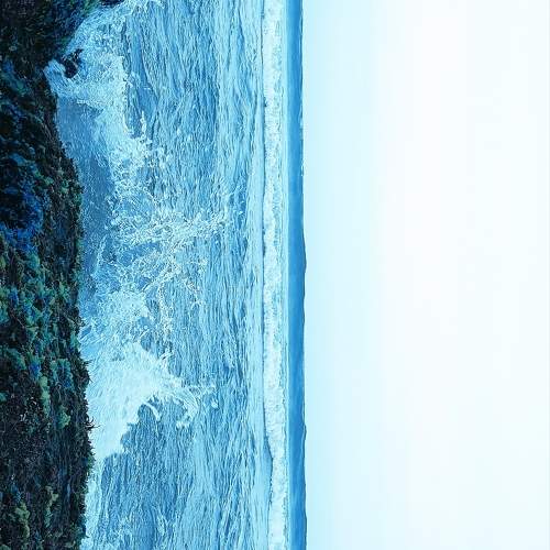 Photo #10868117