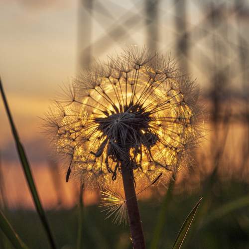 Photo #10868123