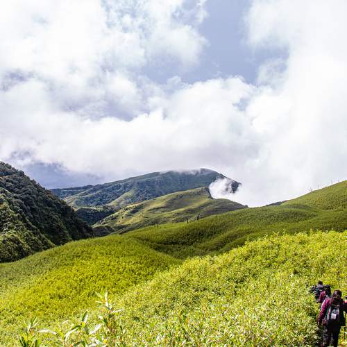 Photo #10868356