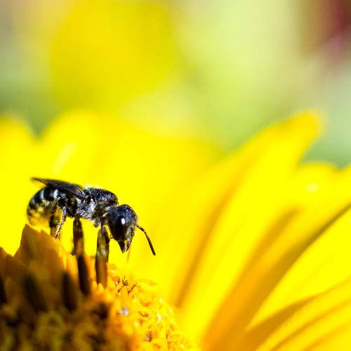Photo #10868362