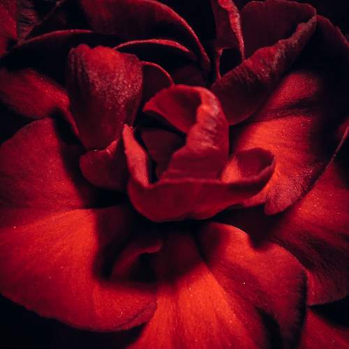 Photo #10868779