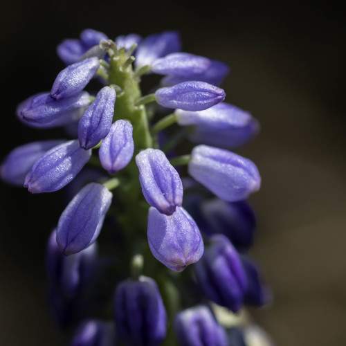Photo #10869244