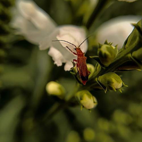 Photo #10869250