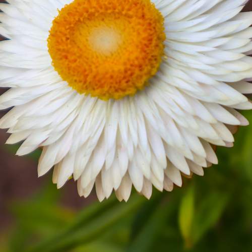 Photo #10869305