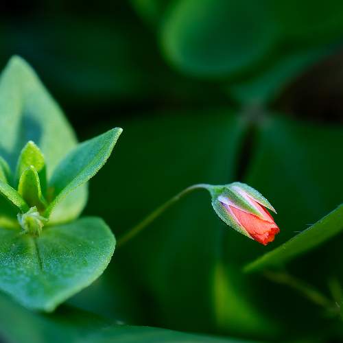 Photo #10869370