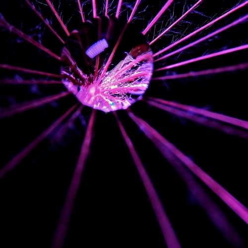 Photo #10869432