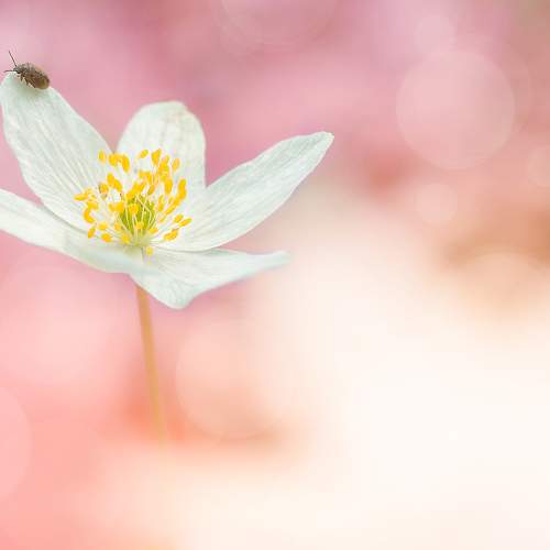Photo #10869457