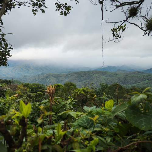 Photo #10869590