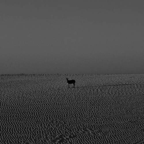 Alone...again