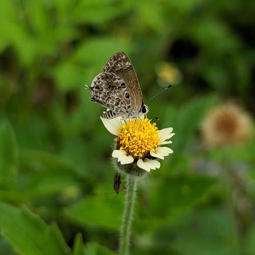 Photo #10869642