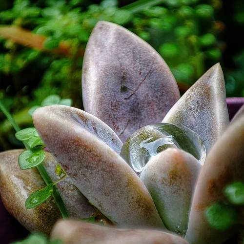 Photo #10869644