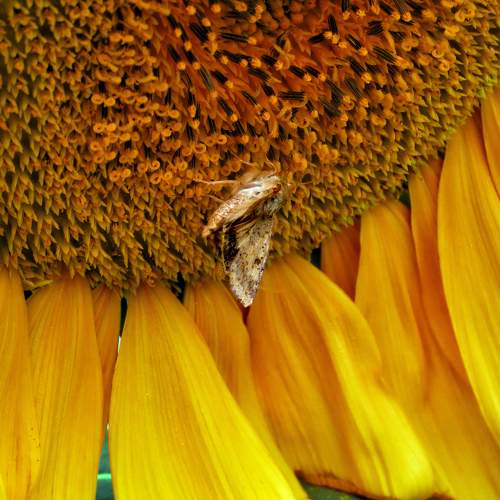 Photo #10869873