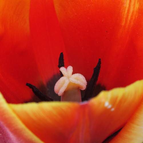 Photo #10869890