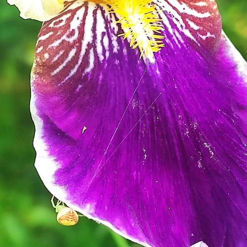 Photo #10870209