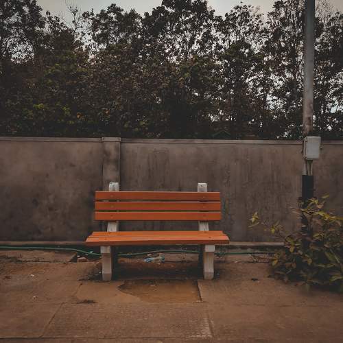 Photo #10870281