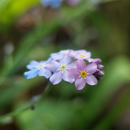 Photo #10870334
