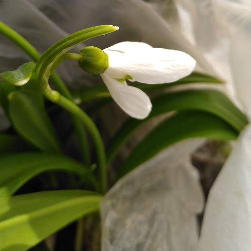 Photo #10870910