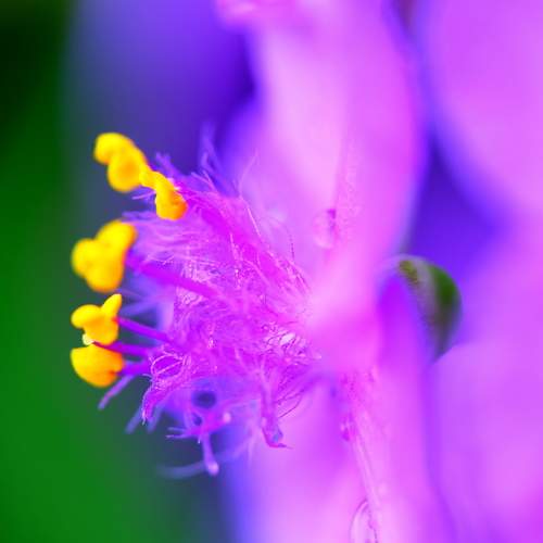 Photo #10871049