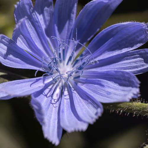 Photo #10871120