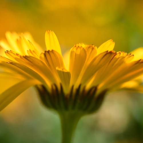 Photo #10871252
