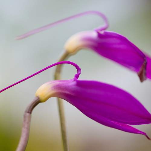 Photo #10871304