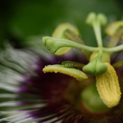 Photo #10871439