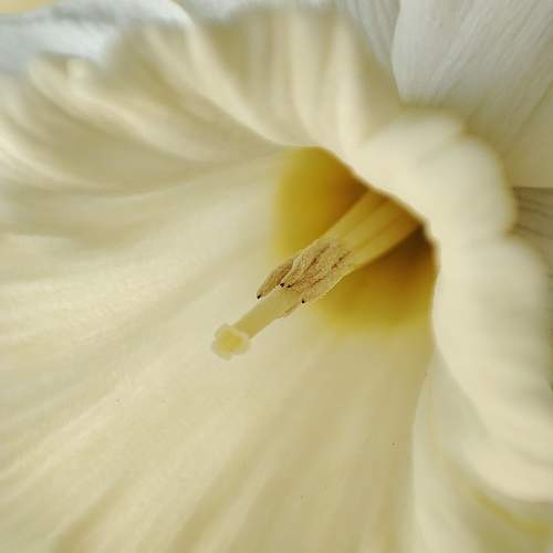Photo #10871978