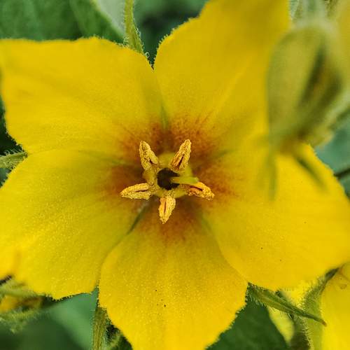 Photo #10871993