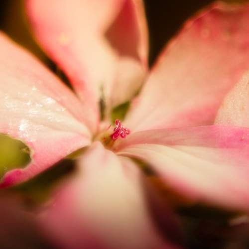 Photo #10872009