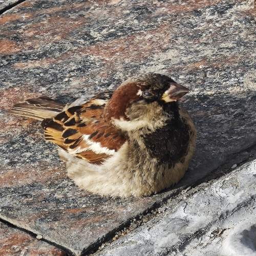 Photo #10872023