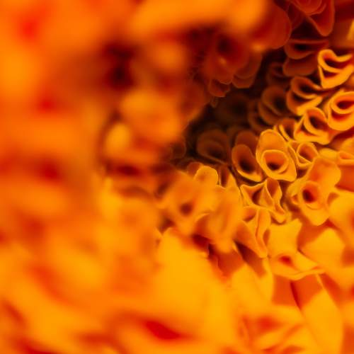 Photo #10872040