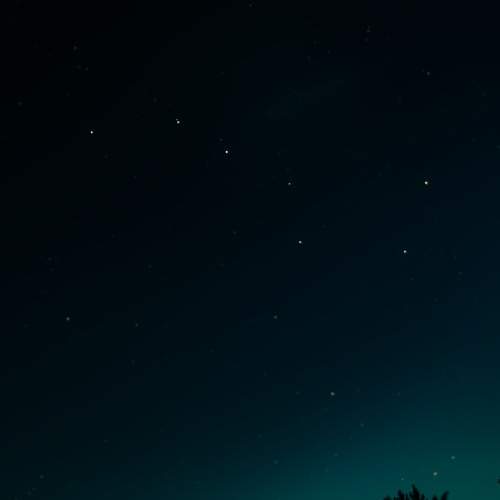 Photo #10872048