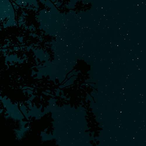 Photo #10872049