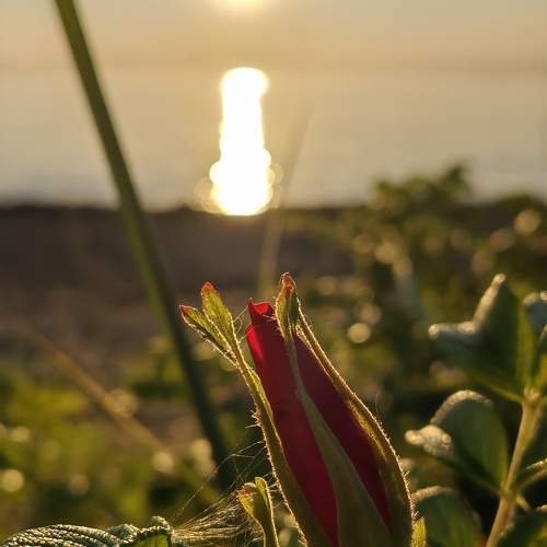 Photo #10873356